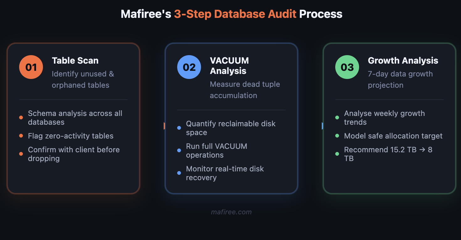 Mafiree's 3-step database audit process